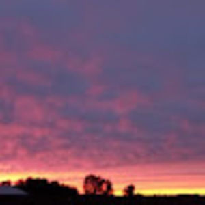 Meet your Posher, Rich